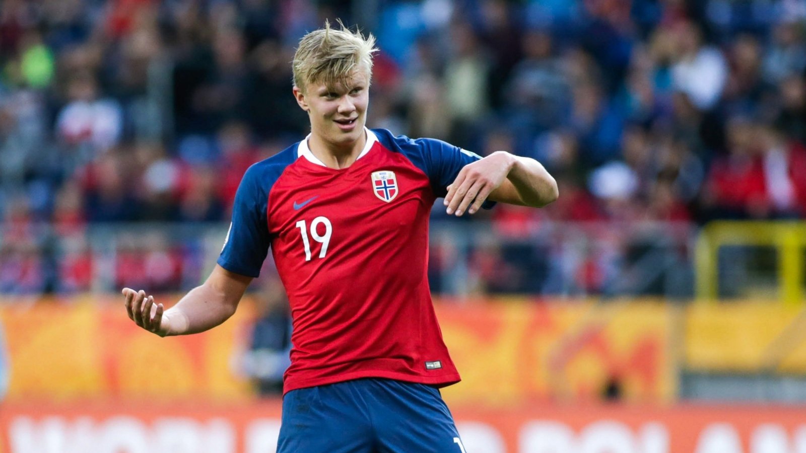 年冠军的真 年冠军的真